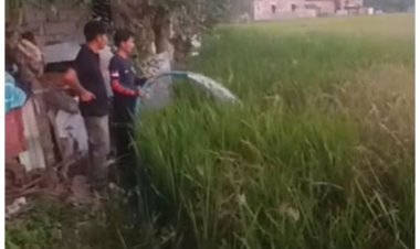 Akibat Musim Kemarau Panjang, Bupati Jeneponto Ambil Langkah Darurat Atasi Kekeringan dan Optimalisasi Air Irigasi Kareloe